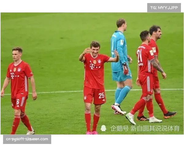 福建男排何传旦领衔进攻体系高效运转助升级